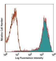 Alexa Fluor® 647 anti-rat CD90/mouse CD90.1 (Thy1.1) Antibody (202507)