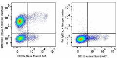 Purified anti-mouse UNC93B1 Antibody (162802)