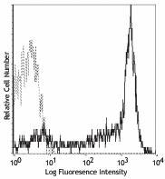 PE anti-human CD62L Antibody (304805)