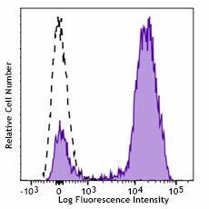 APC/Fire™ 750 anti-human CD2 Antibody (300225)