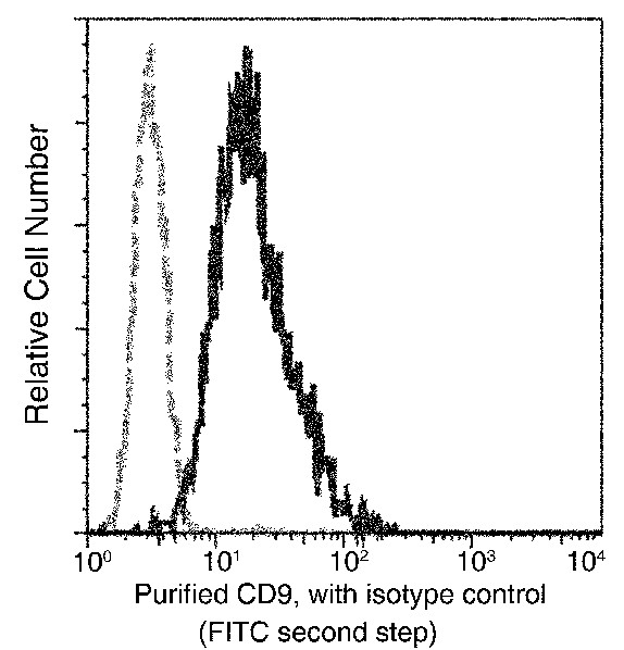 CD9 Monoclonal Antibody (AN200033P)