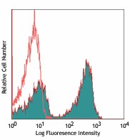 APC anti-rat TCR α/β Antibody (201110)