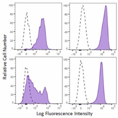 Brilliant Violet 711™ anti-mouse CD155 (PVR) Antibody (131523)