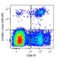APC anti-human CD158e1 (KIR3DL1, NKB1) Antibody (312715)