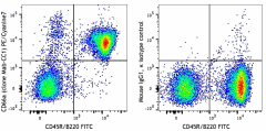 PE/Cyanine7 anti-mouse CD66a (CEACAM1a) Antibody (134515)