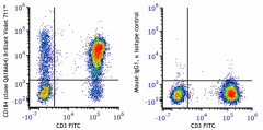Brilliant Violet 711™ anti-human CD184 (CXCR4) Recombinant Antibody (304509)