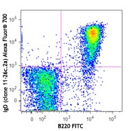 Alexa Fluor® 700 anti-mouse IgD Antibody (405729)