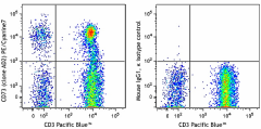 PE/Cyanine7 anti-human CD73 (Ecto-5'-nucleotidase) Antibody (344009)