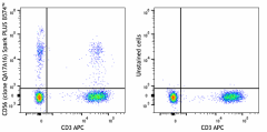 Spark PLUS B574™ anti-human CD56 (NCAM) Recombinant Antibody (392449)