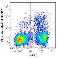 Brilliant Violet 711™ anti-mouse IFN-γ Antibody (505835)