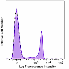 GMP APC/Fire™ 750 anti-human CD8 Antibody (260228)