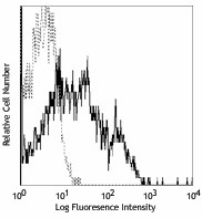 PE anti-human CD150 (SLAM) Antibody (306307)