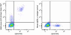 Brilliant Violet 750™ anti-human CD20 Antibody (302377)