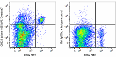 PE/Cyanine7 anti-mouse CD226 (DNAM-1) Antibody (128811)
