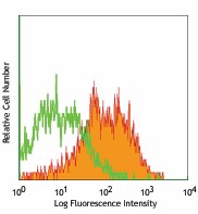 Biotin anti-mouse/human Mac-2 (Galectin-3) Antibody (125403)