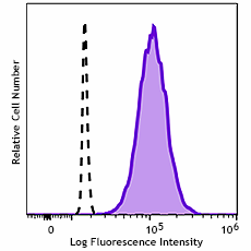 Brilliant Violet 510™ anti-human EGFR Antibody (352937)