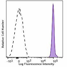 Purified anti-human CD236 (Glycophorin C) Recombinant Antibody (378202)