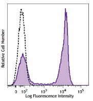 Brilliant Violet 510™ anti-human CD27 Antibody (302835)