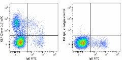 APC anti-mouse/human GL7 Antigen (T and B cell Activation Marker) Antibody (144617)