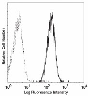 Purified anti-human CD80 Antibody (305201)