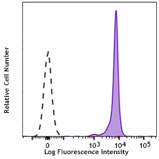Spark Violet™ 538 anti-mouse CD45 Antibody (103179)