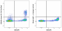 Purified anti-human CD248 (Endosialin) Antibody (379102)