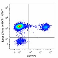 Alexa Fluor® 647 anti-human Ikaros Antibody (368403)