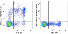Purified anti-human CD56 (NCAM) Antibody (390352)