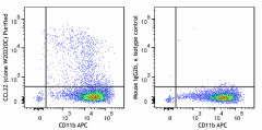 Purified anti-mouse CCL22 Antibody (167402)