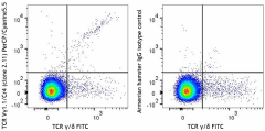 PerCP/Cyanine5.5 anti-mouse TCR Vγ1.1/Cr4 Antibody (141111)