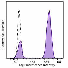 Alexa Fluor® 488 anti-mouse IgG2a Antibody (407121)