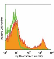 PE anti-mouse CD8b Antibody (126607)