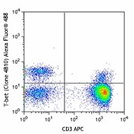 Alexa Fluor® 488 anti-T-bet Antibody (644829)