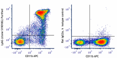 Purified anti-mouse Ly-6G Antibody (164502)
