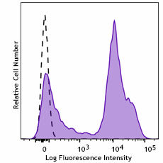 Purified anti-mouse CD24 Recombinant Antibody (114302)