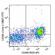 FITC anti-mouse CD185 (CXCR5) Antibody (145519)