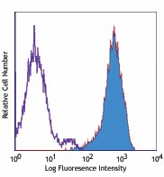 PE anti-mouse CD273 (B7-DC, PD-L2) Antibody (107205)