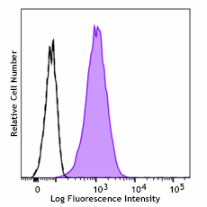 Alexa Fluor® 488 anti-NOS3 (eNOS) Antibody (626755)