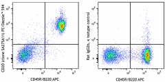 PE/Dazzle™ 594 anti-mouse CD20 Antibody (150433)