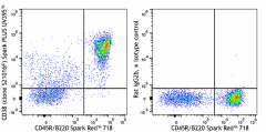 Spark PLUS UV395™ anti-mouse CD38 Antibody (165619)