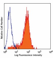 PE anti-human CD325 (N-Cadherin) Antibody (350806)