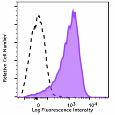 APC/Fire™ 750 anti-mouse CD86 Antibody (105129)
