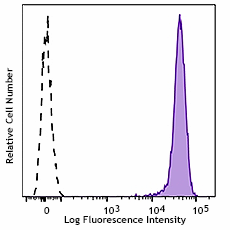Brilliant Violet 421™ anti-DYKDDDDK Tag Antibody (637321)