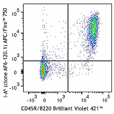 APC/Fire™ 750 anti-mouse I-Ab Antibody (116423)