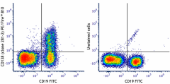 PE/Fire™ 810 anti-mouse CD138 (Syndecan-1) Antibody (142545)