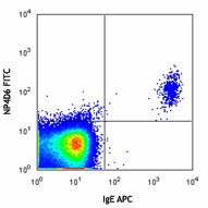 FITC anti-human CD203c (E-NPP3) Antibody (324613)