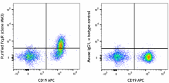 Purified anti-mouse FcμR (FAIM3) Antibody (157802)