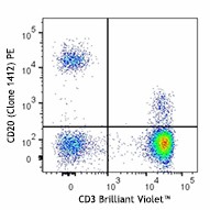 PE anti-human CD20 (cytoplasmic) Antibody (340510)