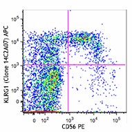 APC anti-human KLRG1 (MAFA) Antibody (368605)