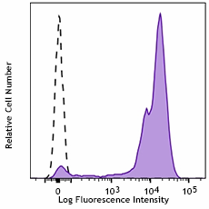 Purified anti-human CD52 Recombinant Antibody (318902)